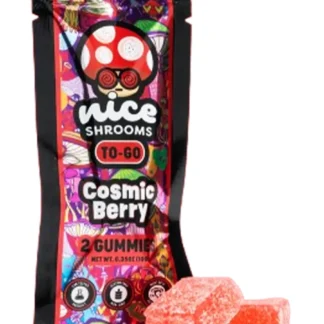 Cosmic Berry Nice Shrooms To-Go Mushroom Gummies 2ct