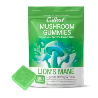 Lion's Mane Honeydew Melon Cutleaf Mushroom CBD Gummies 1000mg
